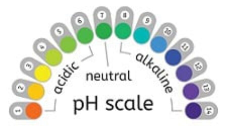 Alkaline and Acid Balance in Our Bodies