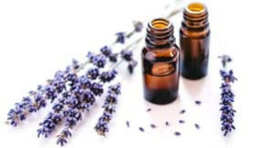 Dogs and Essential Oils: The Hidden Dangers by Stefanie Menjivar