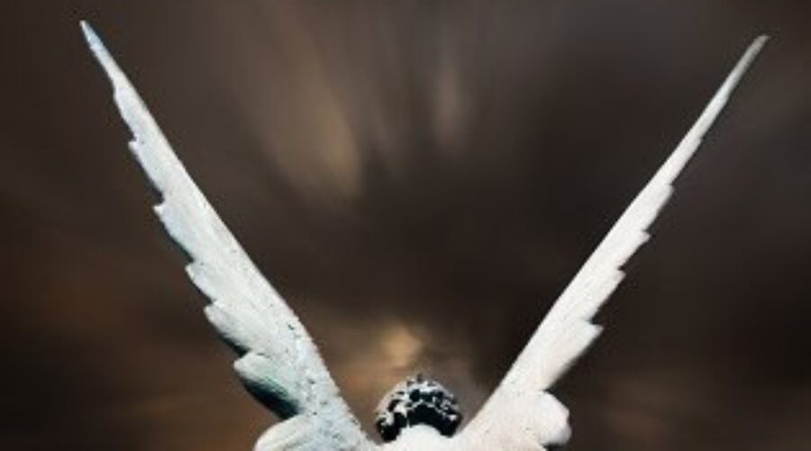 Everything You Need to Know about the Angels by Haripriya Suraj, Reiki Master