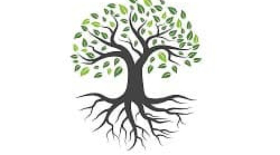 The Earth Star Chakra by Rinku Patel
