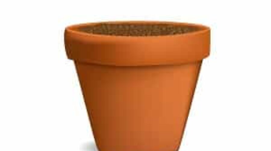 The Coolest Way to Keep Food Cold Without Refrigeration Electricity not necessary.  Ilana E. Strauss