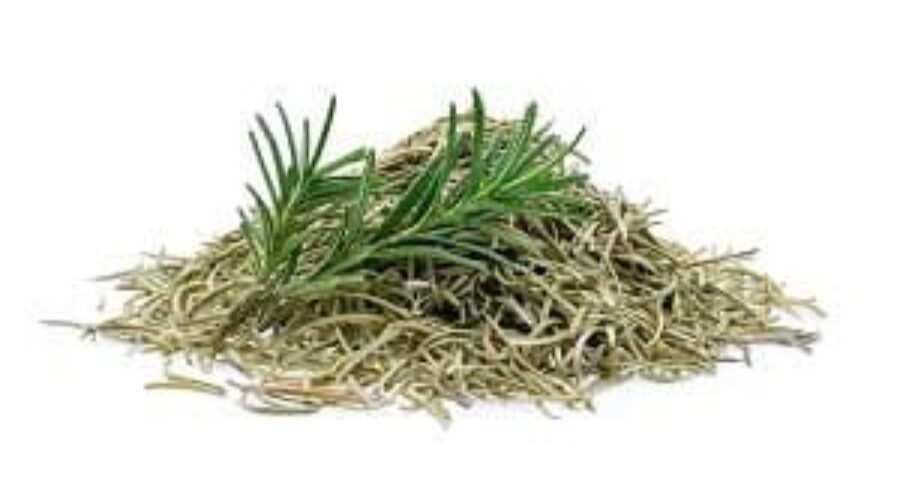 Rosemary And It’s Many Uses