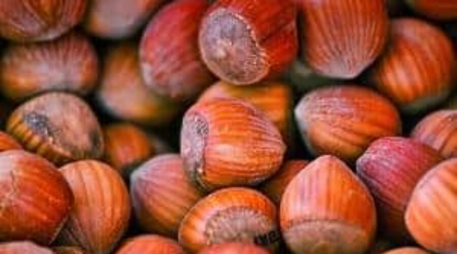Benefits of Hazelnuts