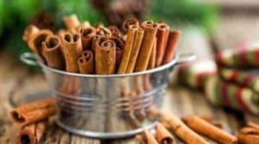 The Many Uses of Cinnamon, by Susan Patterson