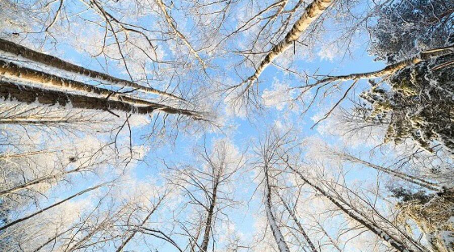 Be Lofty In Perspective