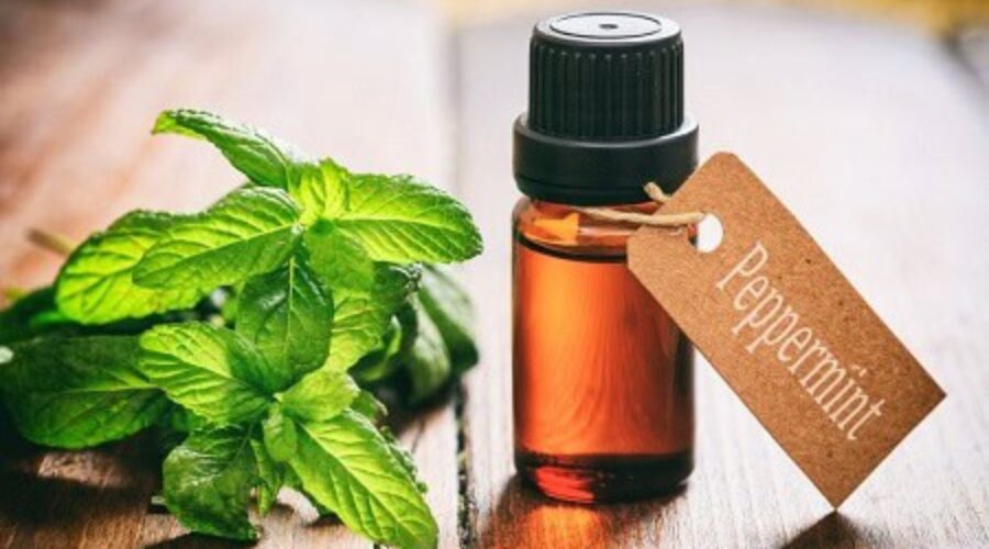 Benefits of Peppermint Oil