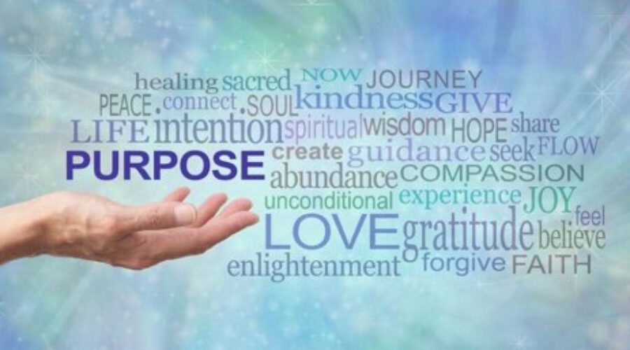 Because Life Is Purposeful