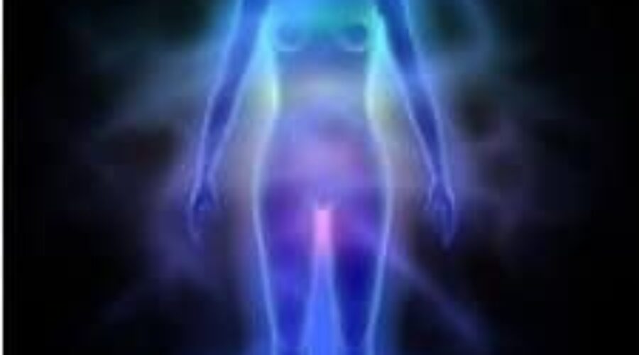 What Is A Medical Intuitive?  by Phylameana Lila Desy