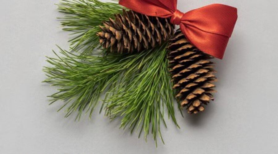 Warmest Holiday Wishes