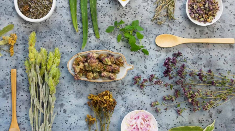 5 Paleo Super Herbs You Should Be Eating for Better Health