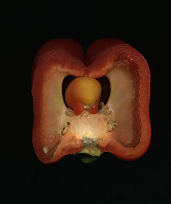 digestive enzymes for gut health - natural sources like pineapple and papaya
