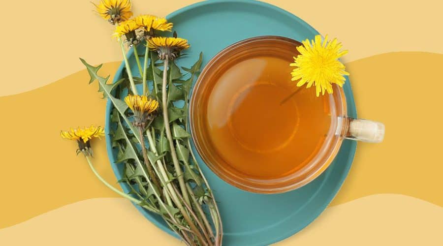 3 Health Benefits of Dandelion Tea